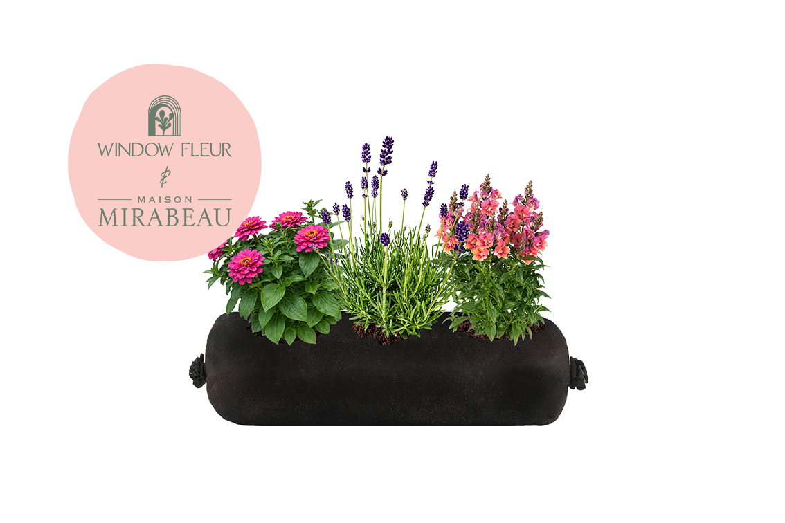 Bloom Bag Refill - Small