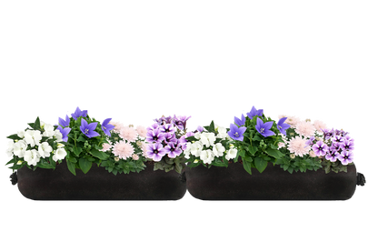 Two black rectangular planters filled with flowers on a white background