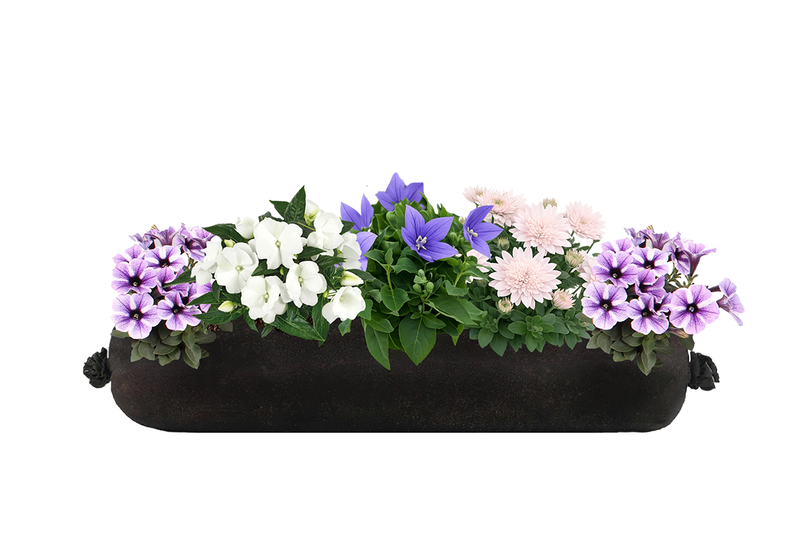 Floral arrangement in a black planter against a white background