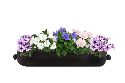 Floral arrangement in a black planter against a white background