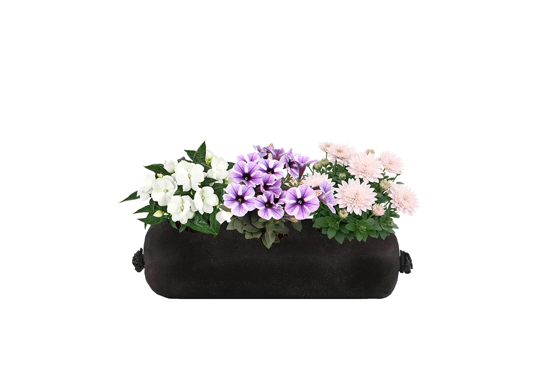 Black fabric planter with colorful flowers on a white background