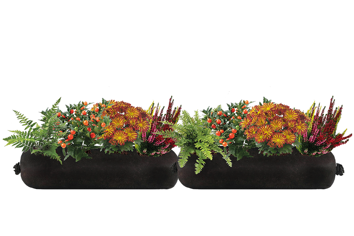 Bloom Bag Refill - Large