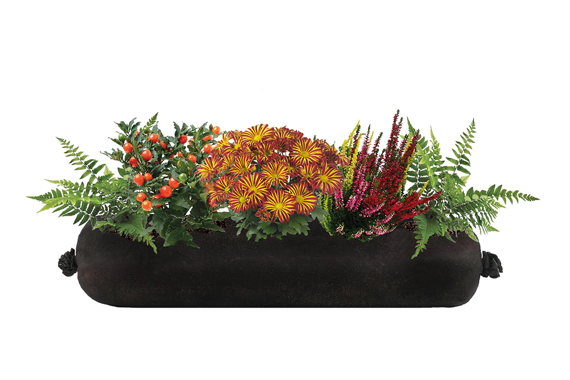 Bloom Bag Refill - Medium