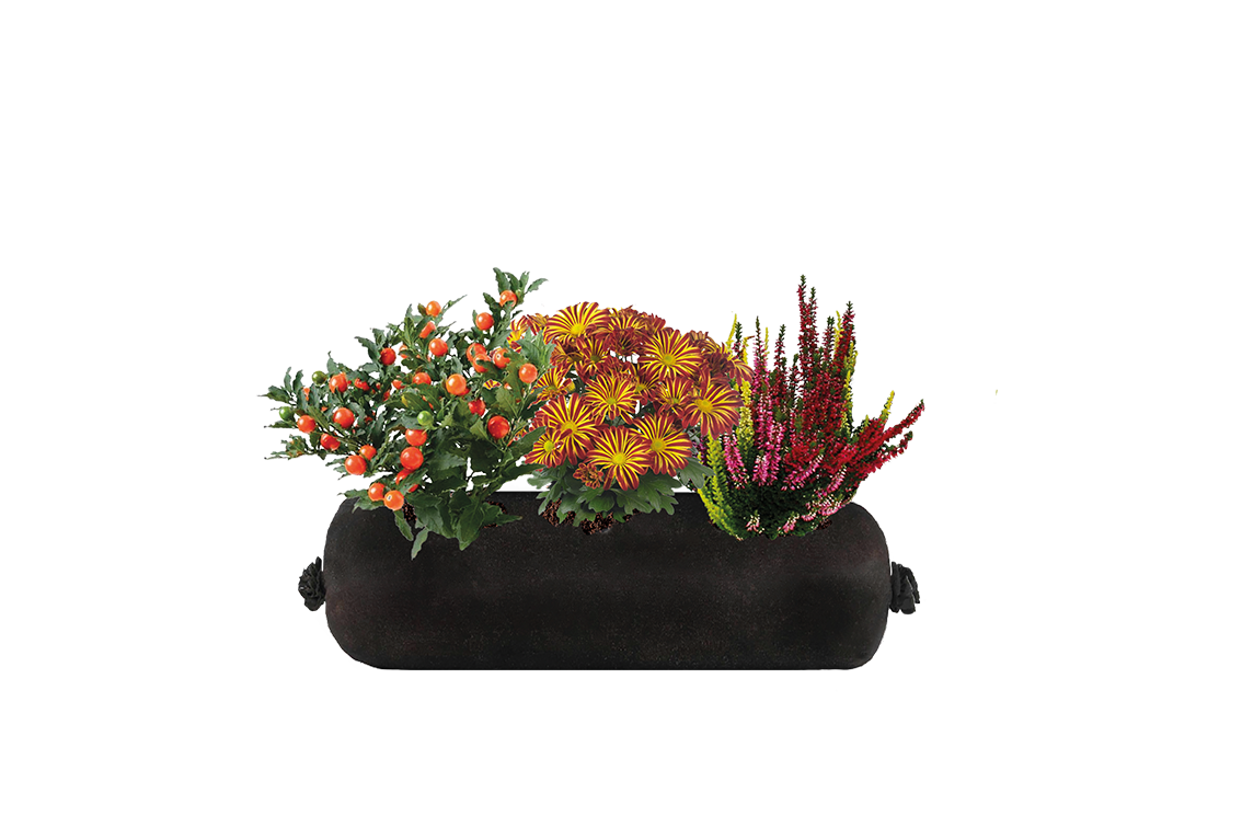 Bloom Bag Refill - Small