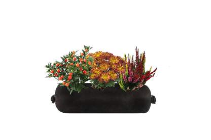 Bloom Bag Refill - Small