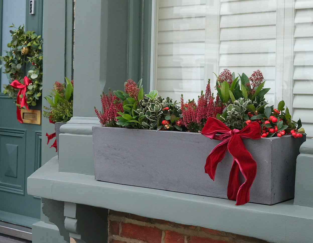 Wesbite_lifetsyle_v1