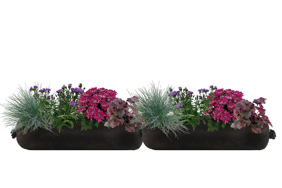 Bloom Bag Refill - Large