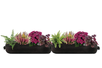 Two black rectangular planters with green and purple plants on a white background