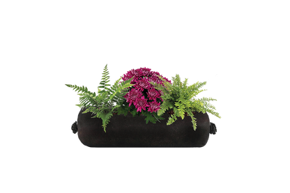 Black cylindrical planter with green ferns and purple flowers on a white background