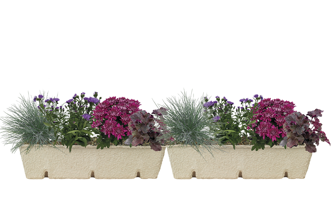Window Box Refill