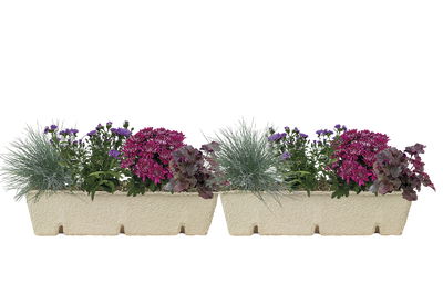 Window Box Refill
