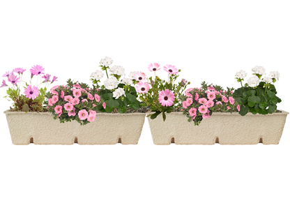 Bloom Bag Refill - Large